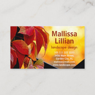 Beautiful red vine leaves in the autumn garden business card