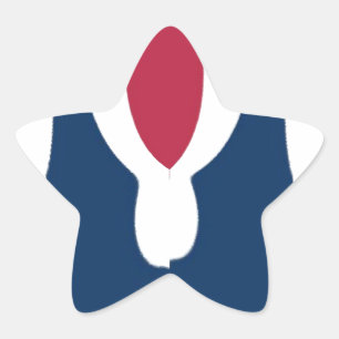 Beautiful Red, White, Blue Texture Colour Abstract Star Sticker