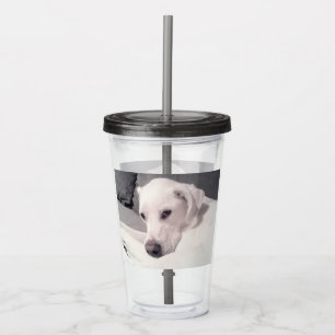 Beautiful Regal White Labrador Mix Dog Grey Acryli Acrylic Tumbler