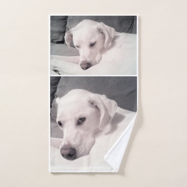 Beautiful Regal White Labrador Mix Dog Grey Hand T Hand Towel (Hand Towel)