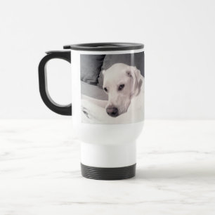 Beautiful Regal White Labrador Mix Dog Grey Travel Mug