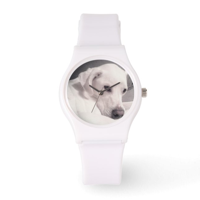 Beautiful Regal White Labrador Mix Dog Watch (Front)