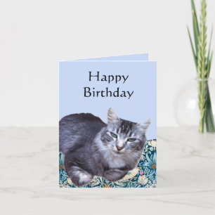 Beautiful Relaxing Cat Editable  Card