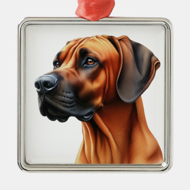 BEAUTIFUL RHODESIAN RIDGEBACK DOG METAL ORNAMENT (Front)
