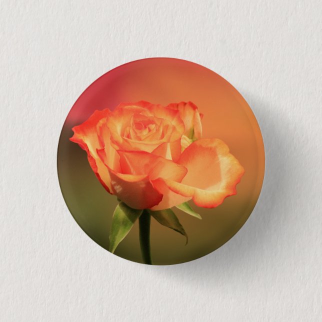Beautiful Romantic Rose Photograph 1 Inch Round Button (Front)