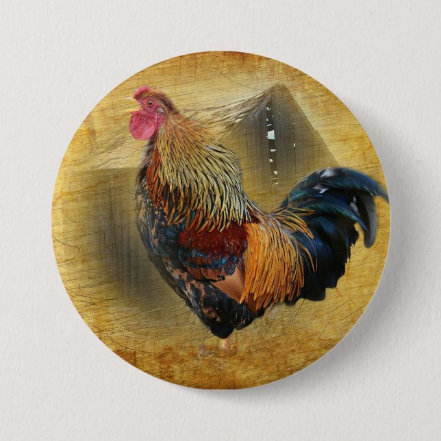 Beautiful Rooster and Rustic Barn Chicken Coop 3 Inch Round Button (Front)