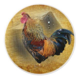 Beautiful Rooster and Rustic Barn Chicken Coop Ceramic Knob