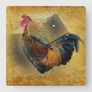 Beautiful Rooster and Rustic Barn Chicken Coop Square Wall Clock