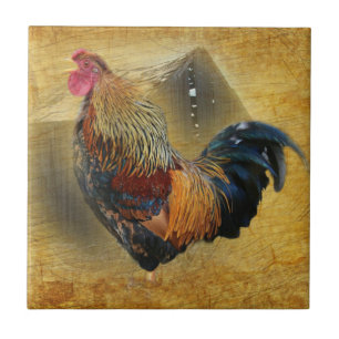 Beautiful Rooster and Rustic Barn Chicken Coop Tile