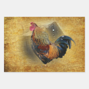 Beautiful Rooster and Rustic Barn Chicken Coop Wrapping Paper Sheet