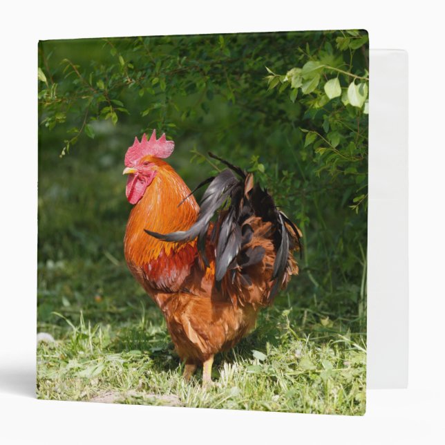 Beautiful Rooster Binder (Front/Inside)
