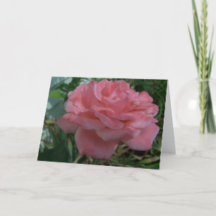 Beautiful Rose/Beautiful Friend Card