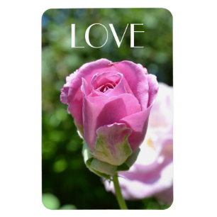 Beautiful Rose Bud Love Magnet