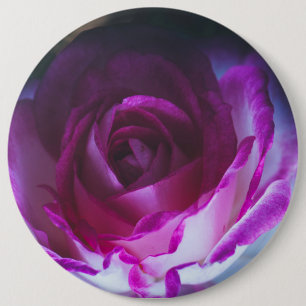 Beautiful rose flower 6 inch round button