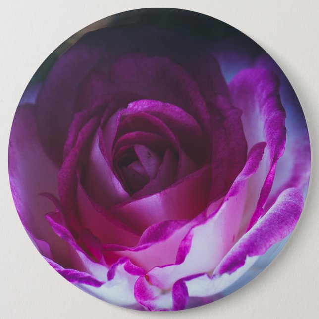 Beautiful rose flower 6 inch round button (Front)
