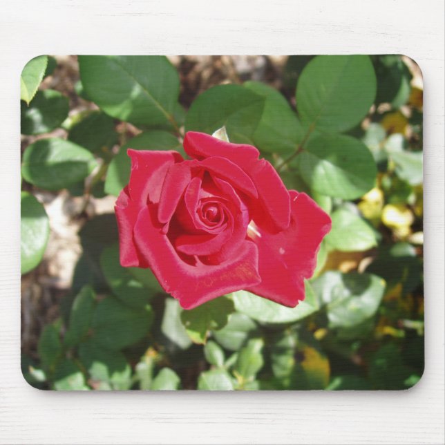 Beautiful Rose Mouse Pad (Front)