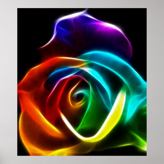 Beautiful Rose of Colours No3 Poster (Front)