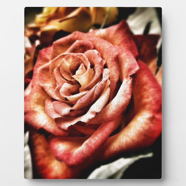 Beautiful Rose Plaque (Front)