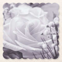 Beautiful Rose Purple Tinted Flower