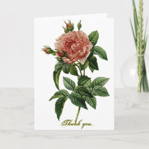 Beautiful Rose Thank You Card