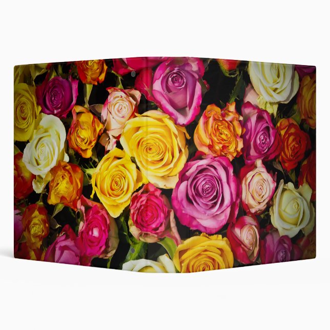 Beautiful Roses Binder (Background)