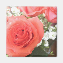 Beautiful Roses Magnet