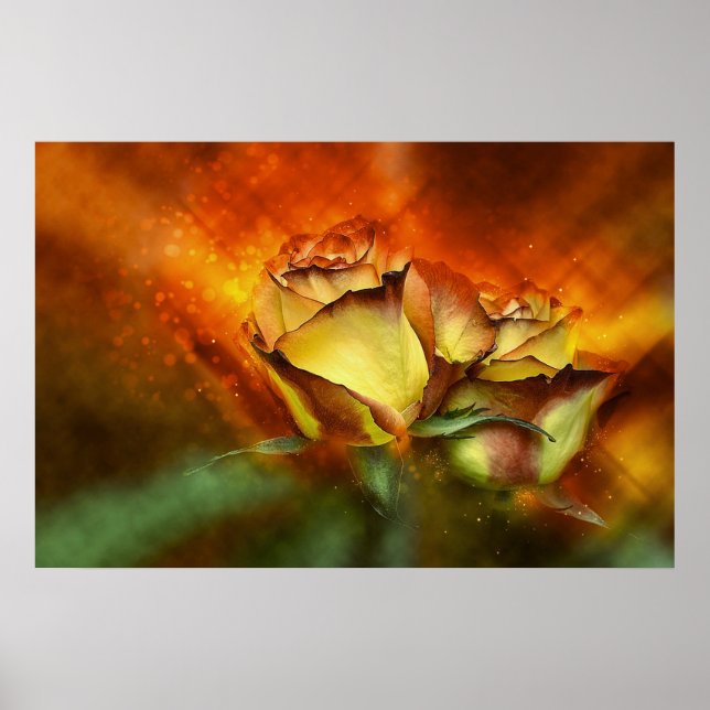 Beautiful Roses Poster (Front)