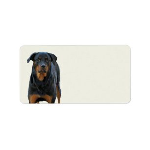Beautiful Rottweiler Labels