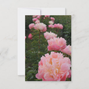 Beautiful Row of Pink Peonies Card