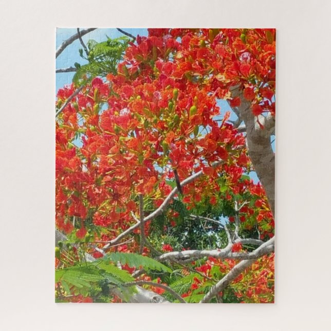 Beautiful Royal Poinciana Tree Jigsaw Puzzle (Vertical)