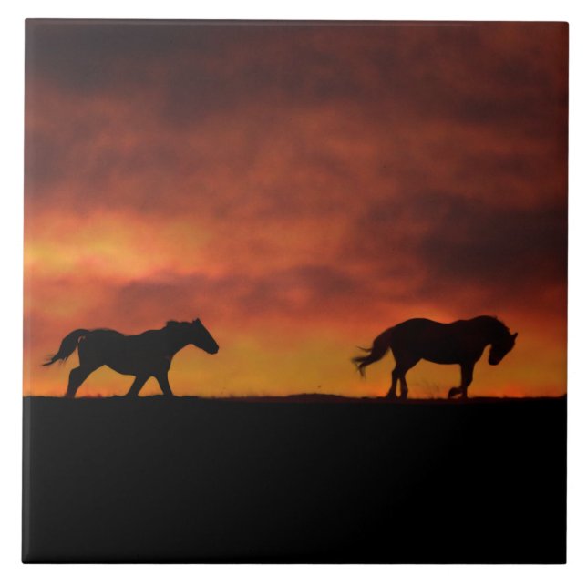 Beautiful Running Horses in the Sunset Art Tile (Front)