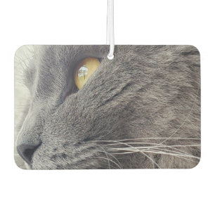 Beautiful Russian Blue Cat Close Profile Nebelung Air Freshener