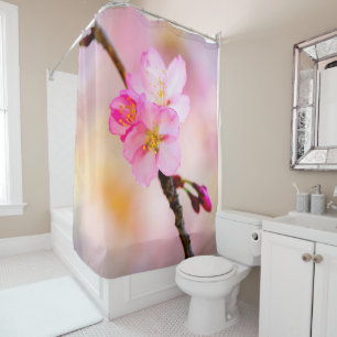 Beautiful Sakura Cherry Blossoms