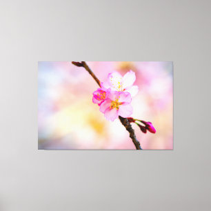 Beautiful Sakura Cherry Blossoms Canvas Print