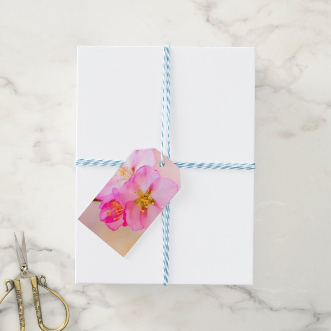 Beautiful Sakura Cherry Blossoms Gift Tags (With Twine)