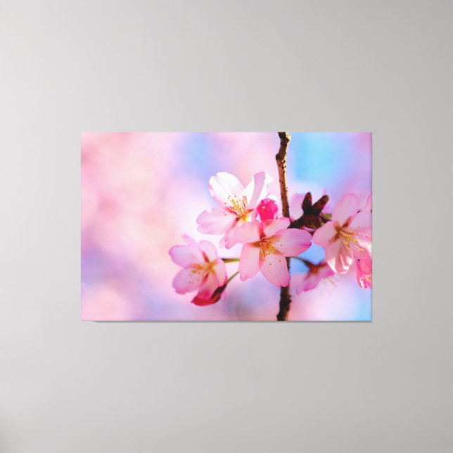 Beautiful Sakura Flowers On A Vertical Twig Canvas Print (Front)