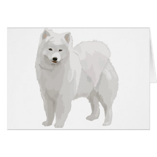 Beautiful Samoyed