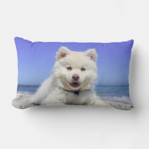 Beautiful Samoyed Dog Lumbar Pillow