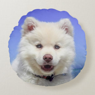 Beautiful Samoyed Dog Round Pillow