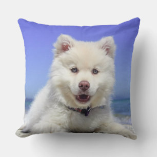 Beautiful Samoyed Dog Throw Pillow