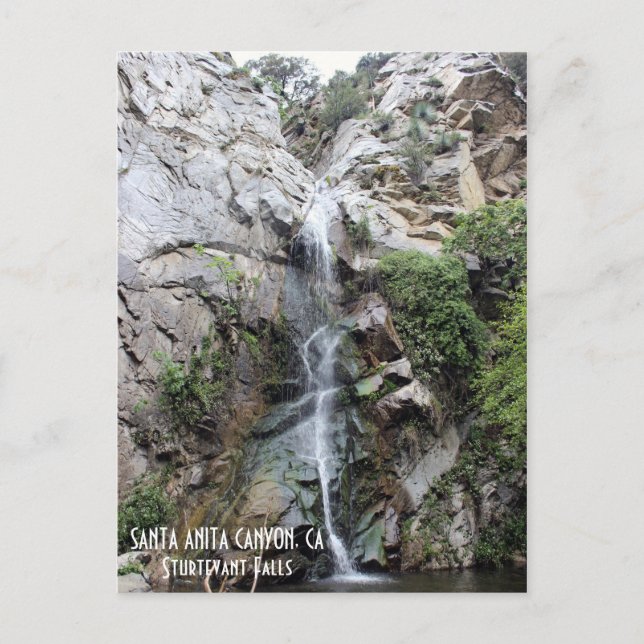 Beautiful Santa Anita Canyon Postcard! Holiday Postcard (Front)