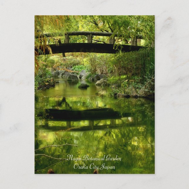 Beautiful scenery：Postcard Postcard (Front)