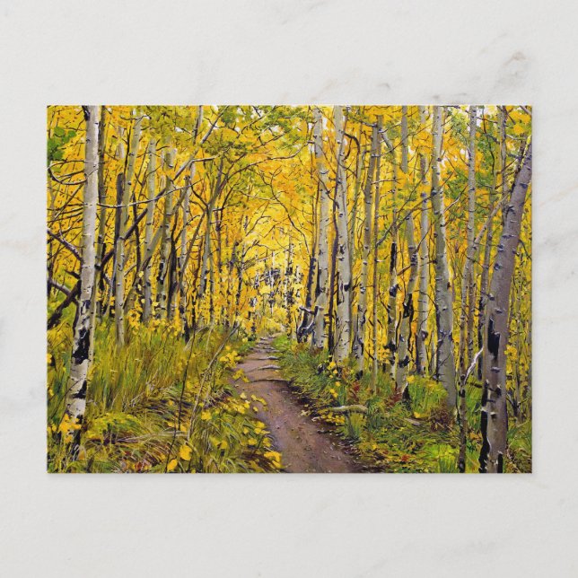 Beautiful Scenic Autumn Trail in Aspen Tree Grove Postcard (Front)