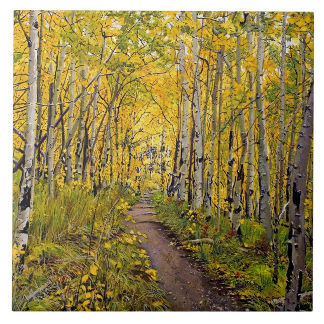 Beautiful Scenic Autumn Trail in Aspen Tree Grove Tile (Front)