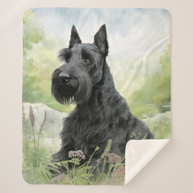 Beautiful Scottie Sherpa Blanket (Front)