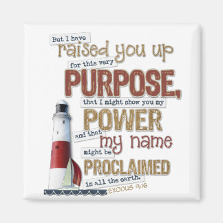 Beautiful Scripture magnet Exodus 9:16