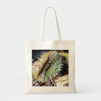 Beautiful Sea Anenome Ocean Life Tote Bag