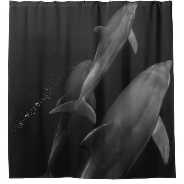 Beautiful Sea Life (Front)