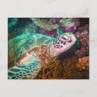 Beautiful Sea Turtle and Marine Plants