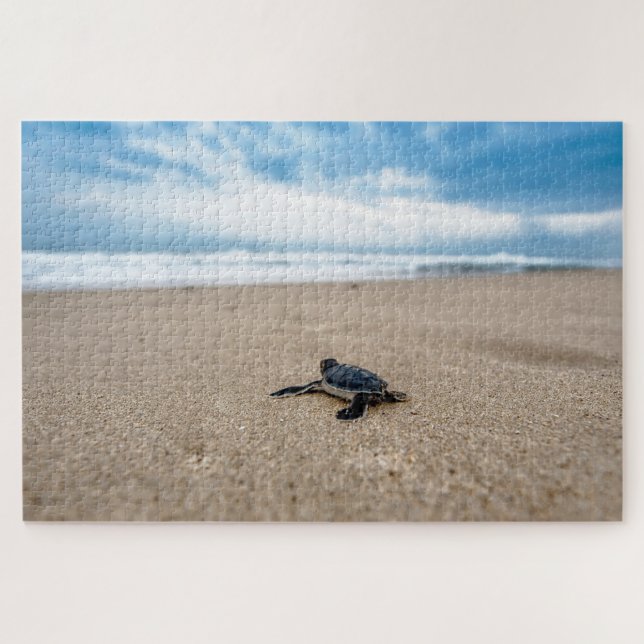 Beautiful Sea Turtle Jigsaw Puzzle (Horizontal)